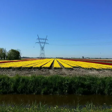 Tinyhouse Natuurhuisje Met Veranda Bij De Molen Tussen Alkmaar En Hoorn *